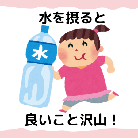 水の重要性💧